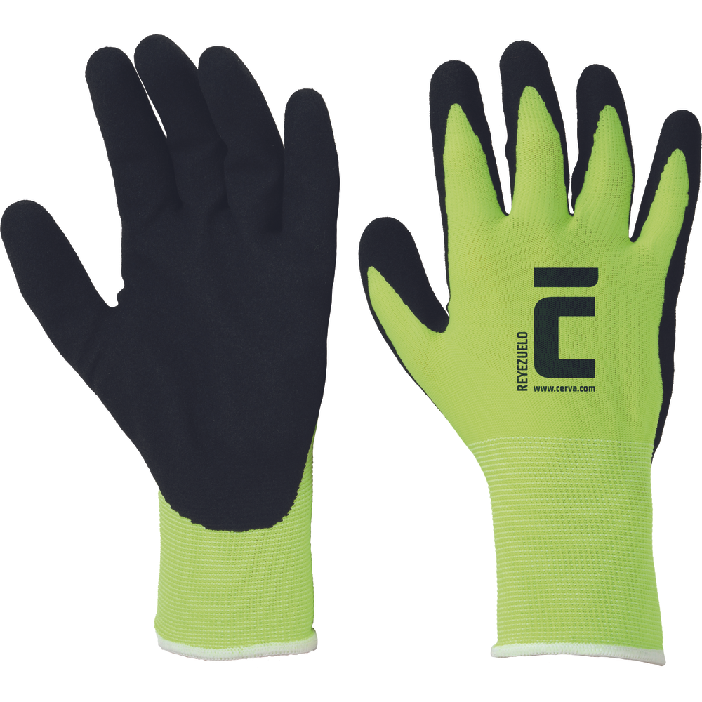 CERVA REYEZUELO kesztyű pes/nitril termék fő termékképe